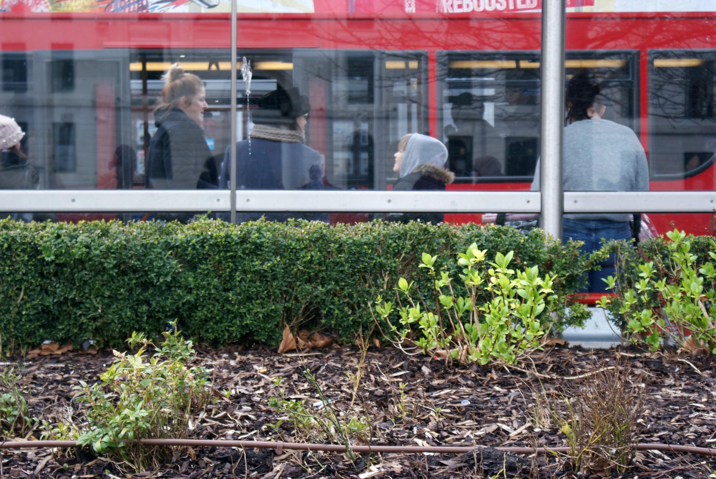 Photo by Sande Krubally