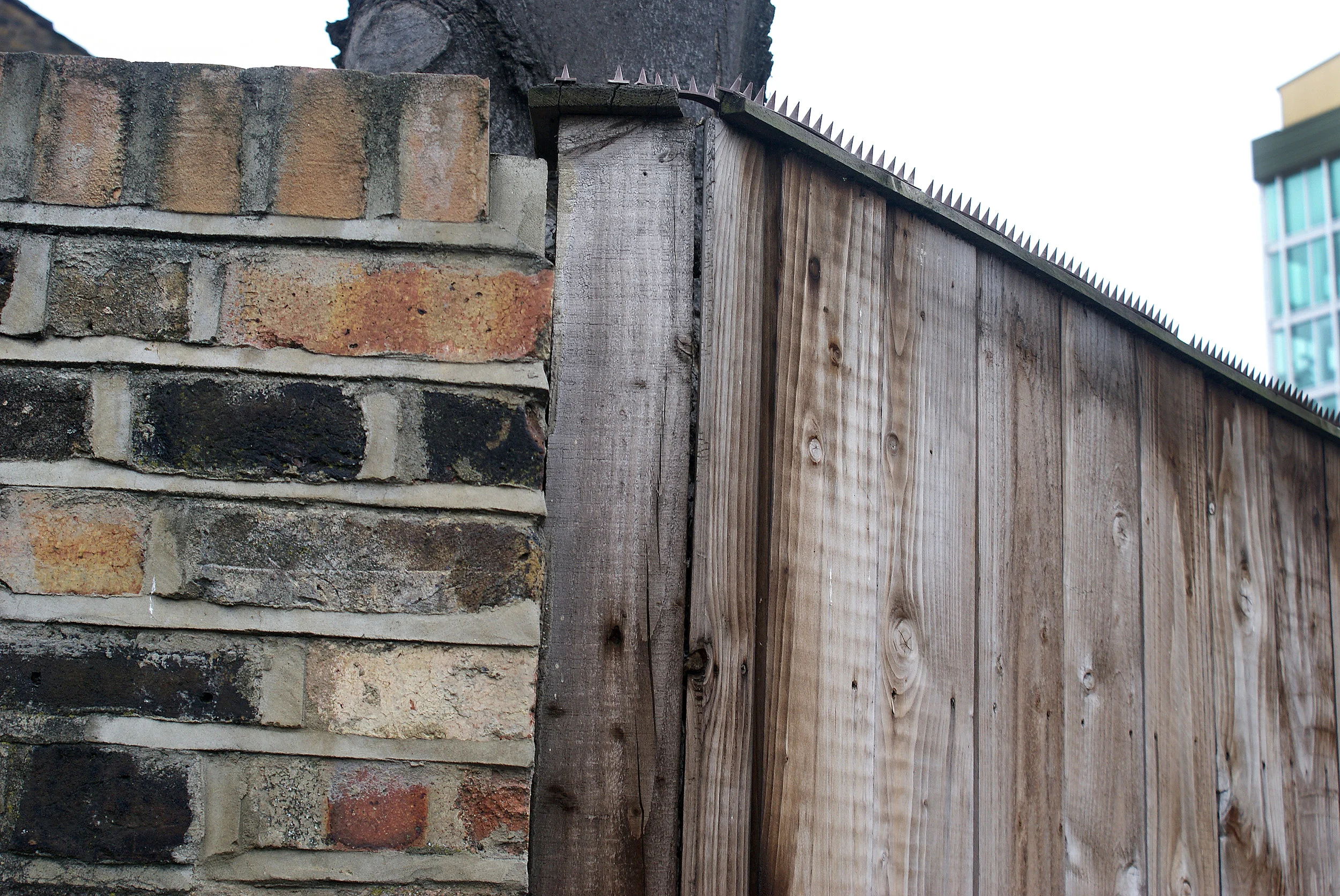 Photo by  Rufia Ballam