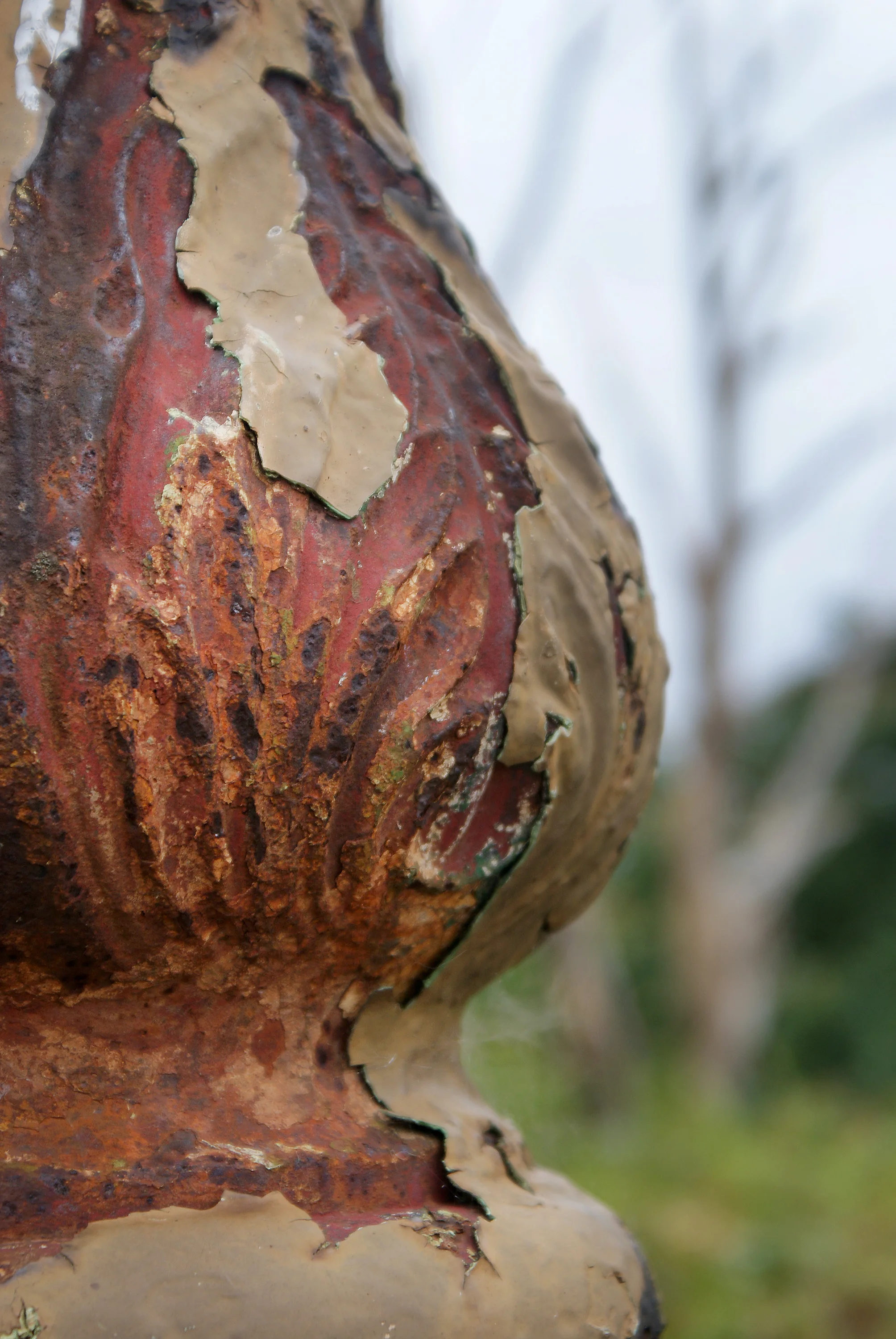 Photo by Sonia Maloney