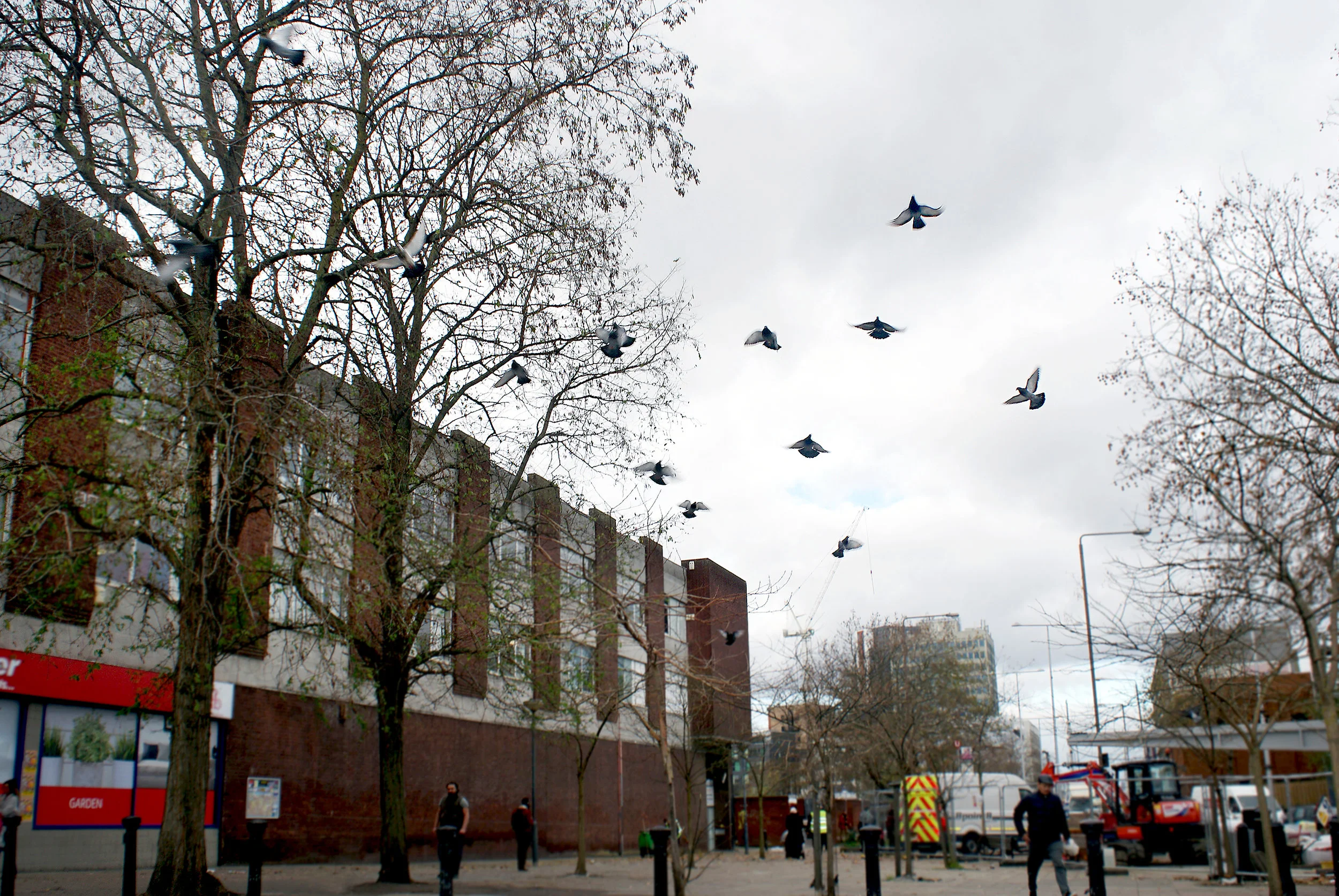 Photo by Danny Ahmed