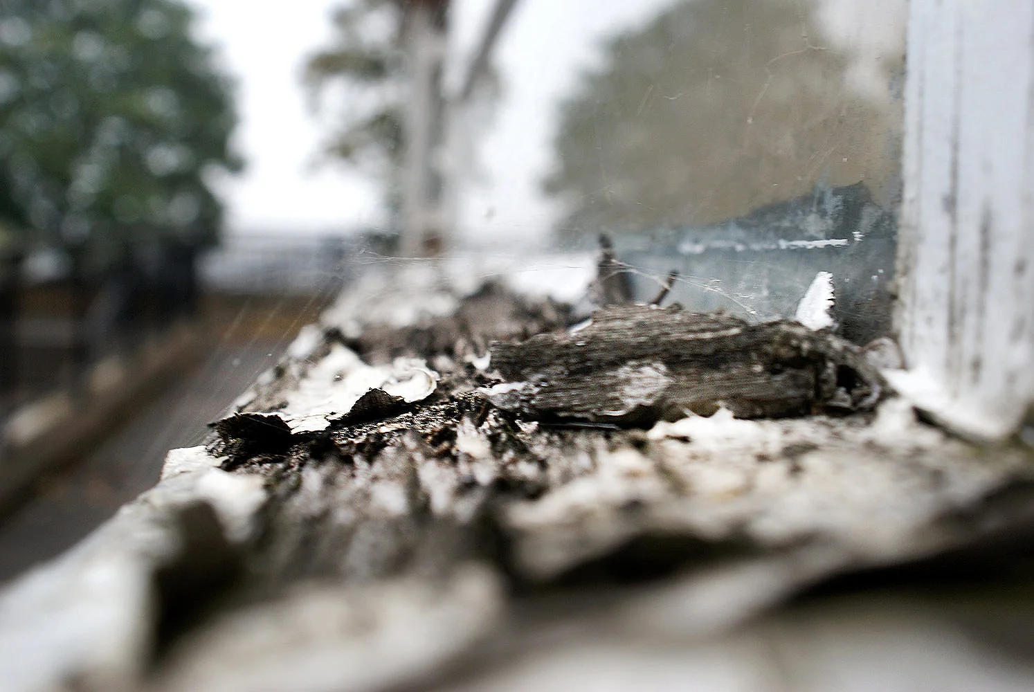  Looks black and white although it’s in colour. I noticed this as I was walking by, I saw some dirt on the window sill and it grabbed my attention  - Kasey (16) 