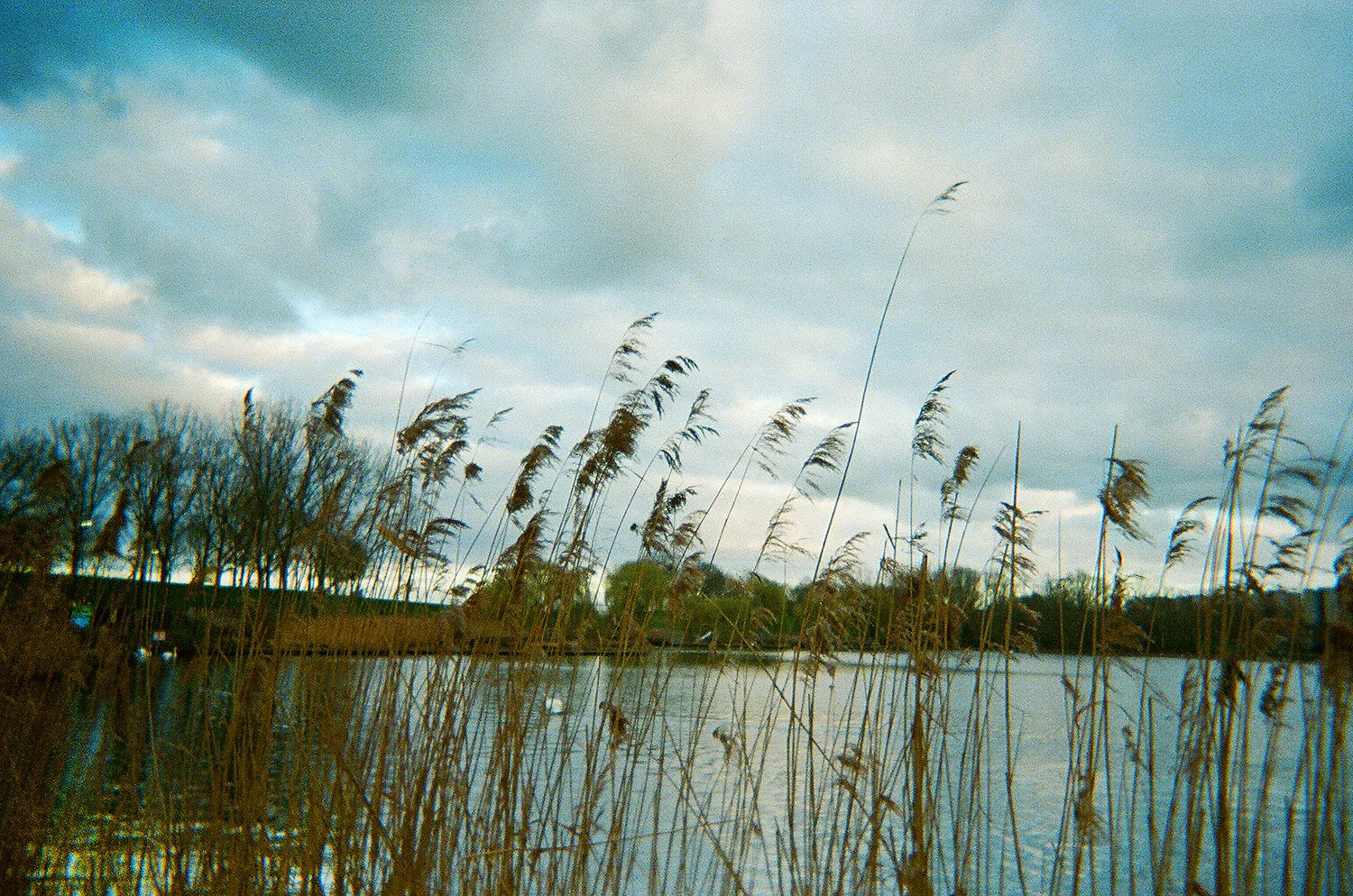  Shades of dusk: A few moments of peace in the lap of nature   - Karan (12) 