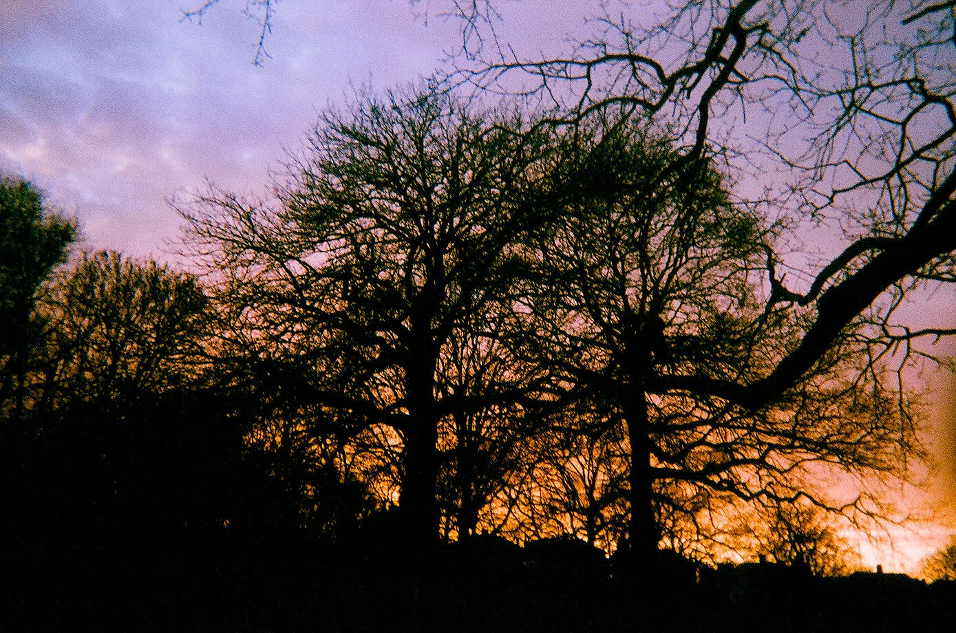  Natures beauty at sunset   - Lateefat (12) 