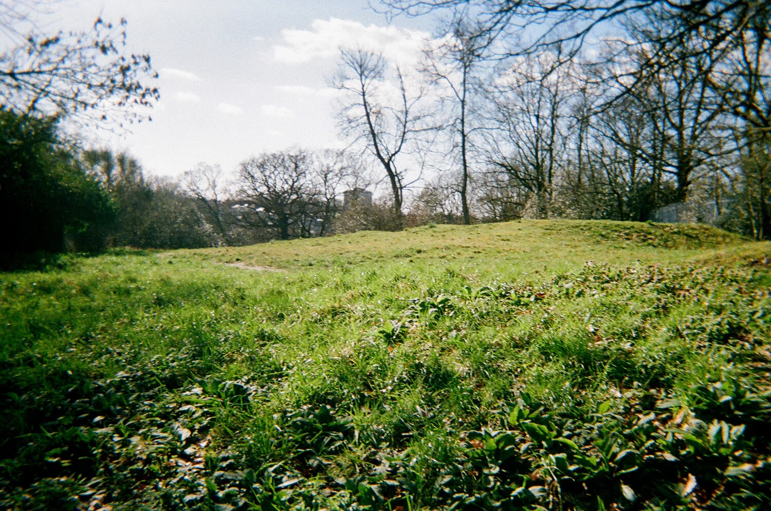 Photograph by Dominic