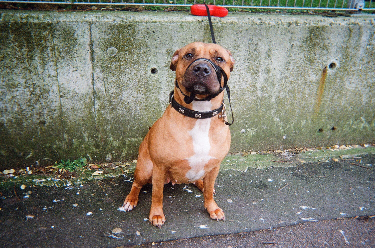 Photograph by Lilleth