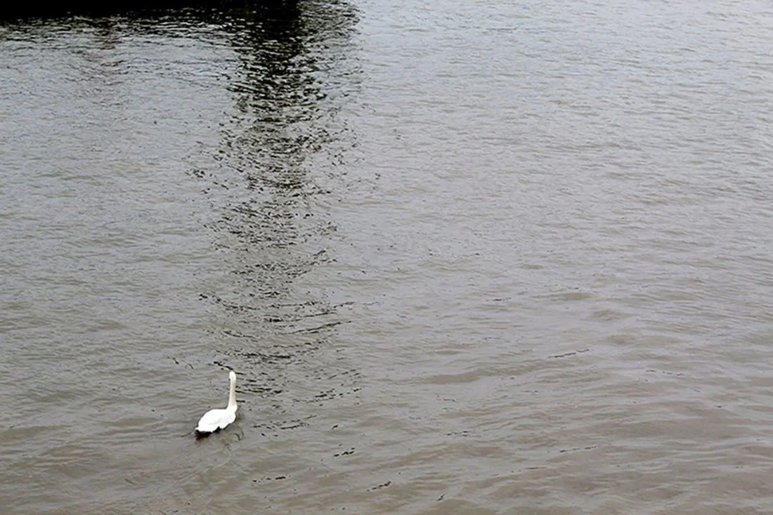  Untitled    - Luke aged 17    