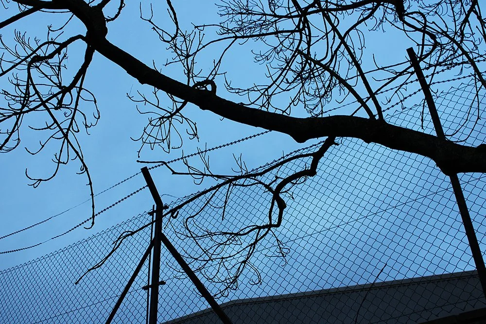 There’s beauty and serenity in the dark; yet the branches remind me of a monster