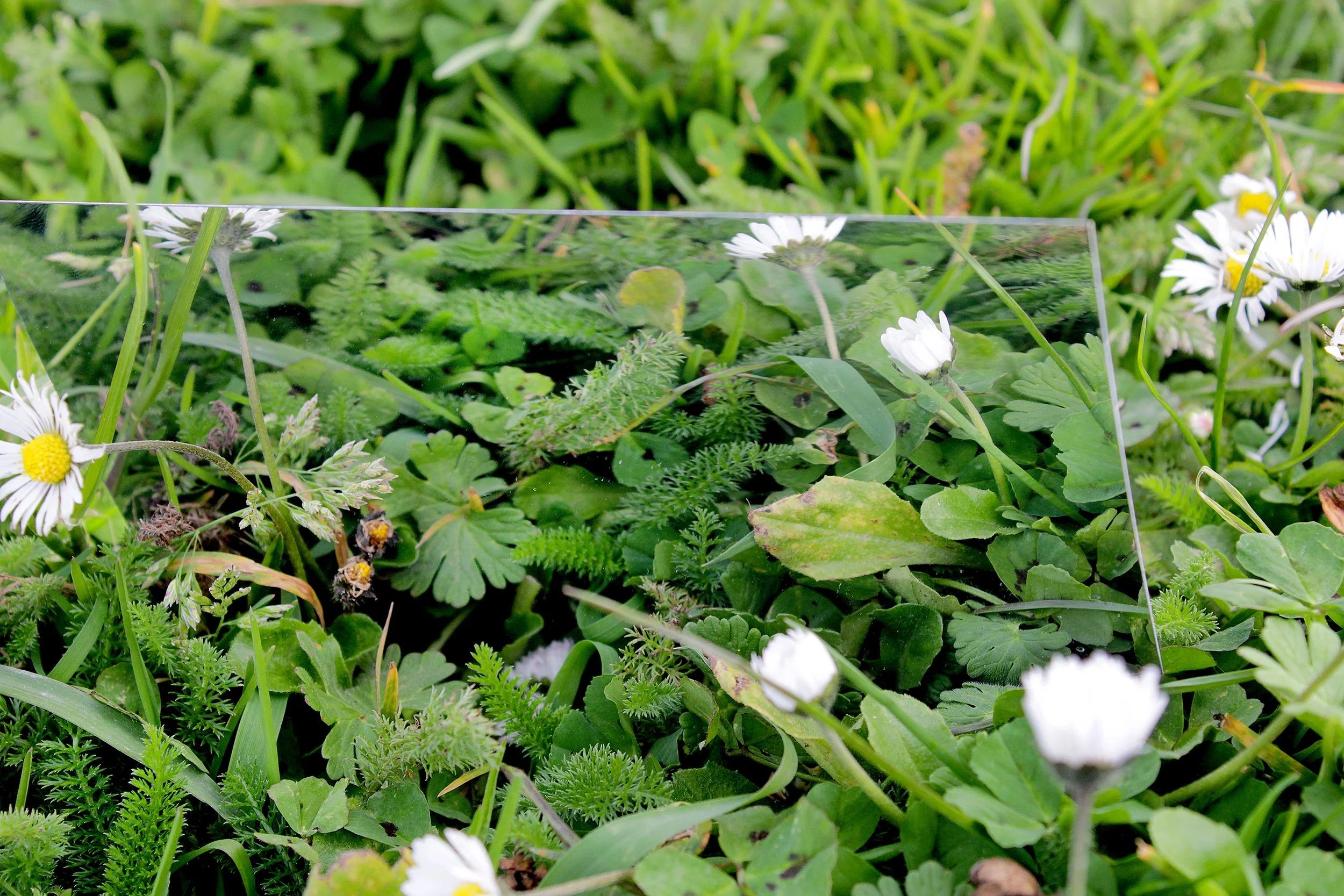 Look deeper, there is beauty in reflection -  Aisha aged 13