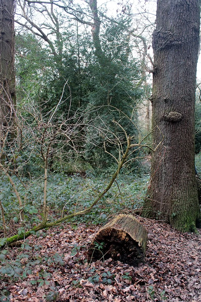 Photograph by Abdullah