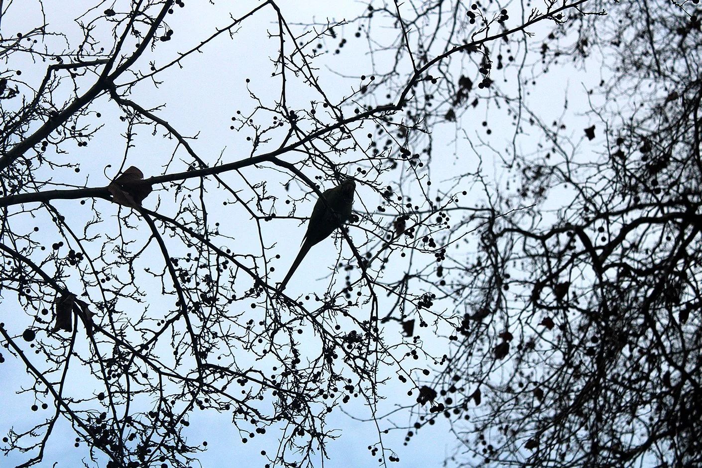 Photograph by Abdulrahman