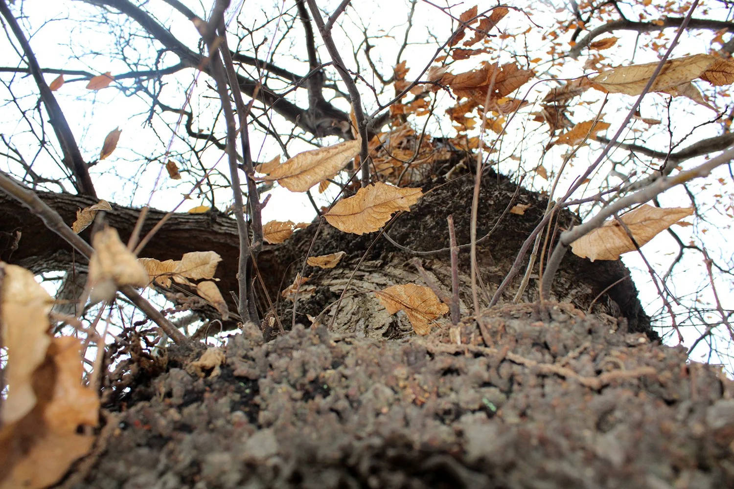 Photograph by Abdulraouf