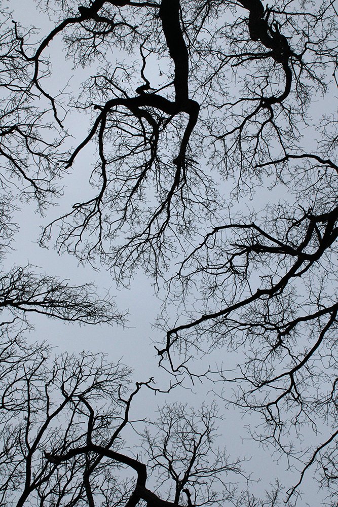 Photograph by  Charles