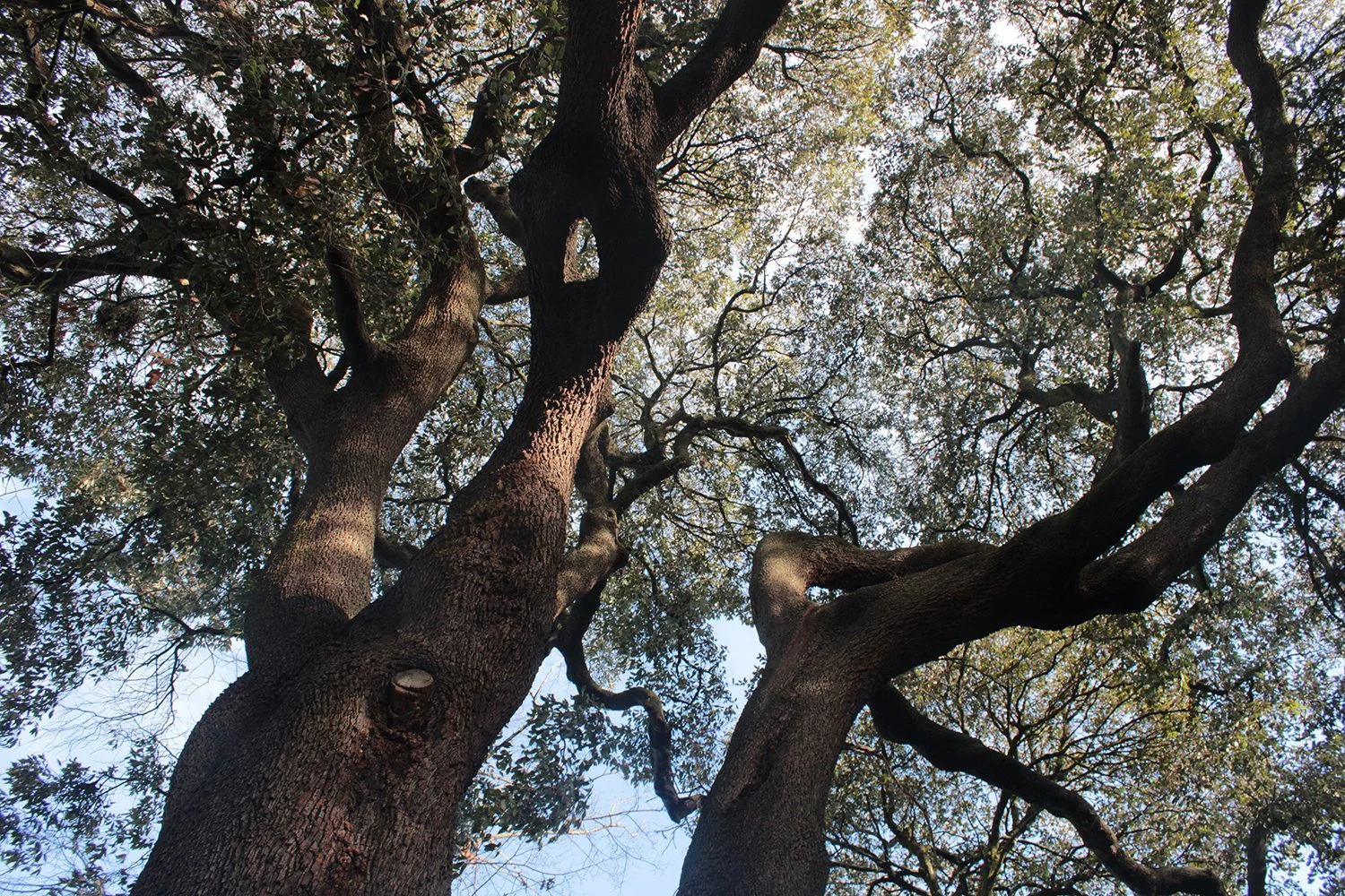 Photograph by  Casper