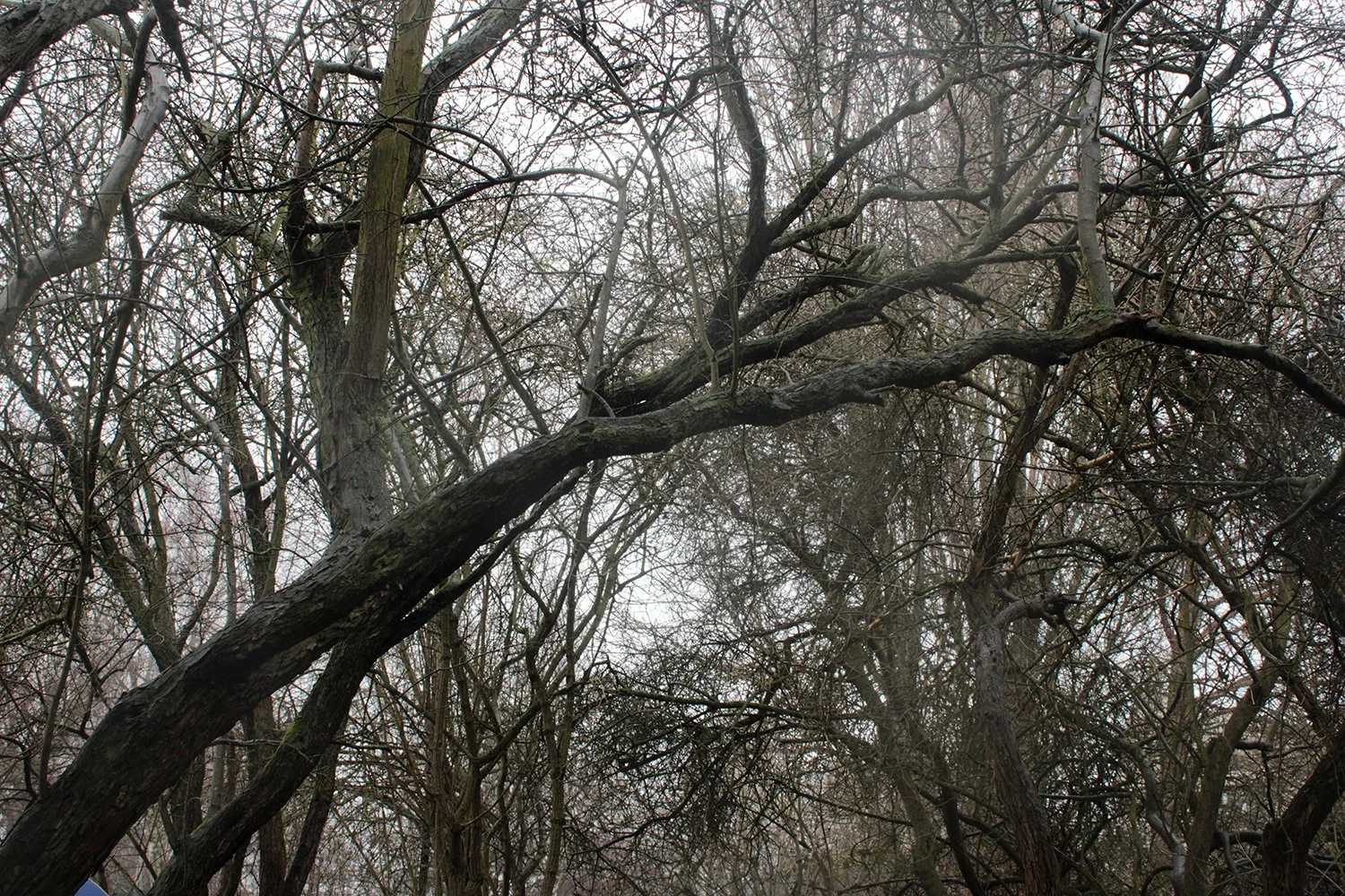 Photograph by Charlotte