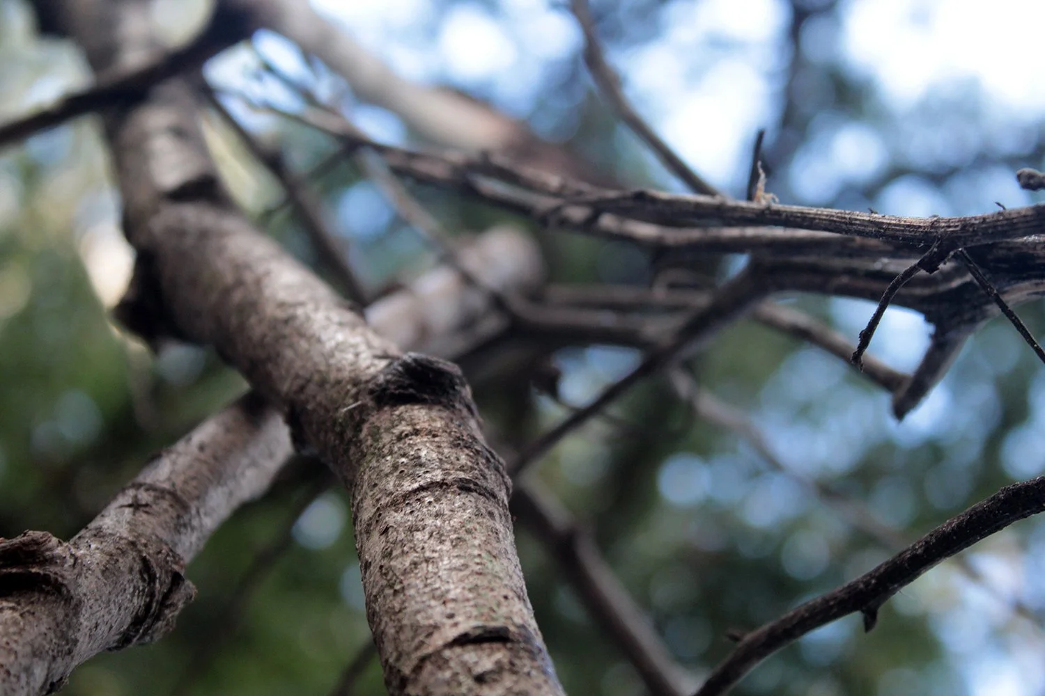 Photograph by Freddie