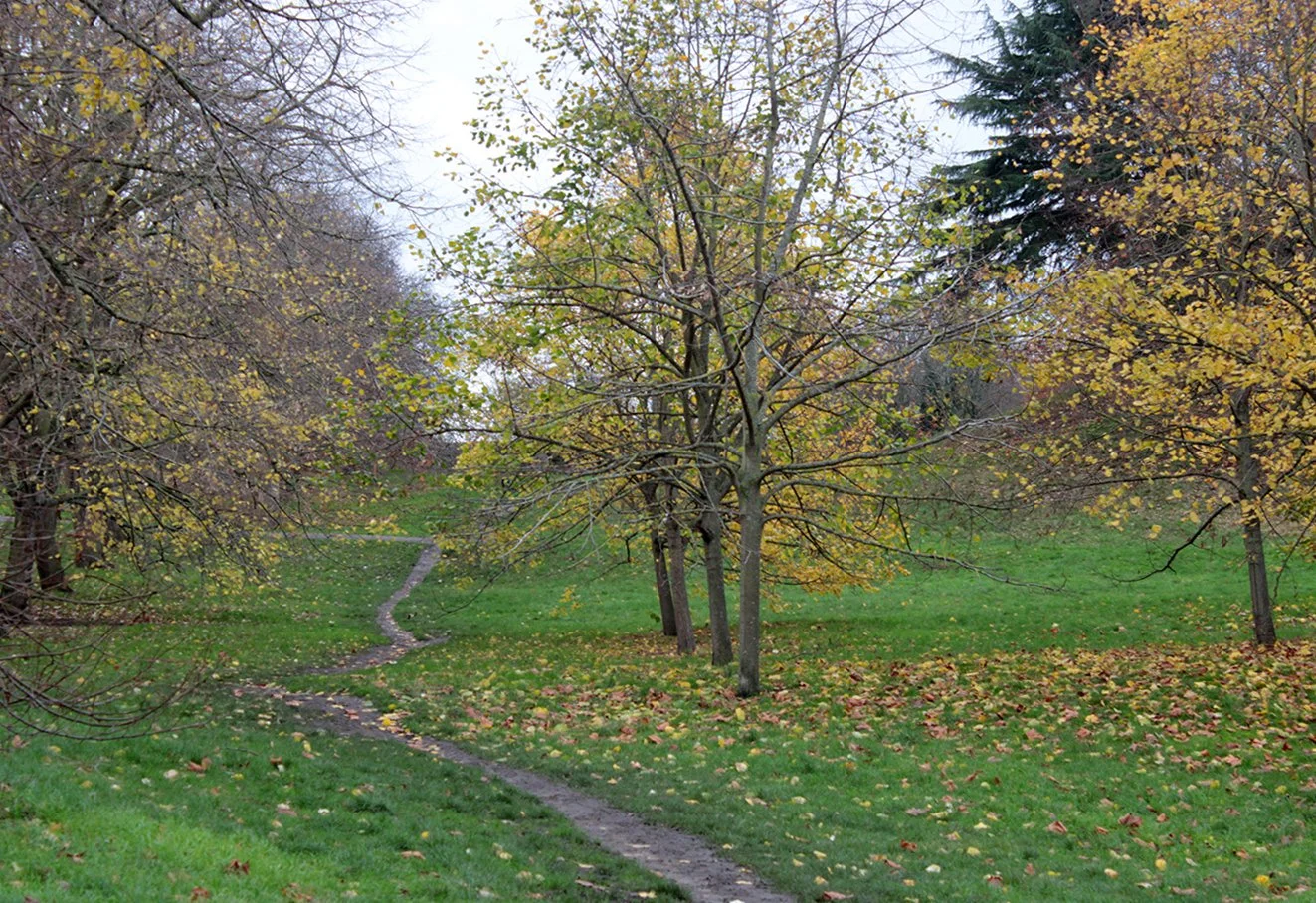 Photograph by Kaiden