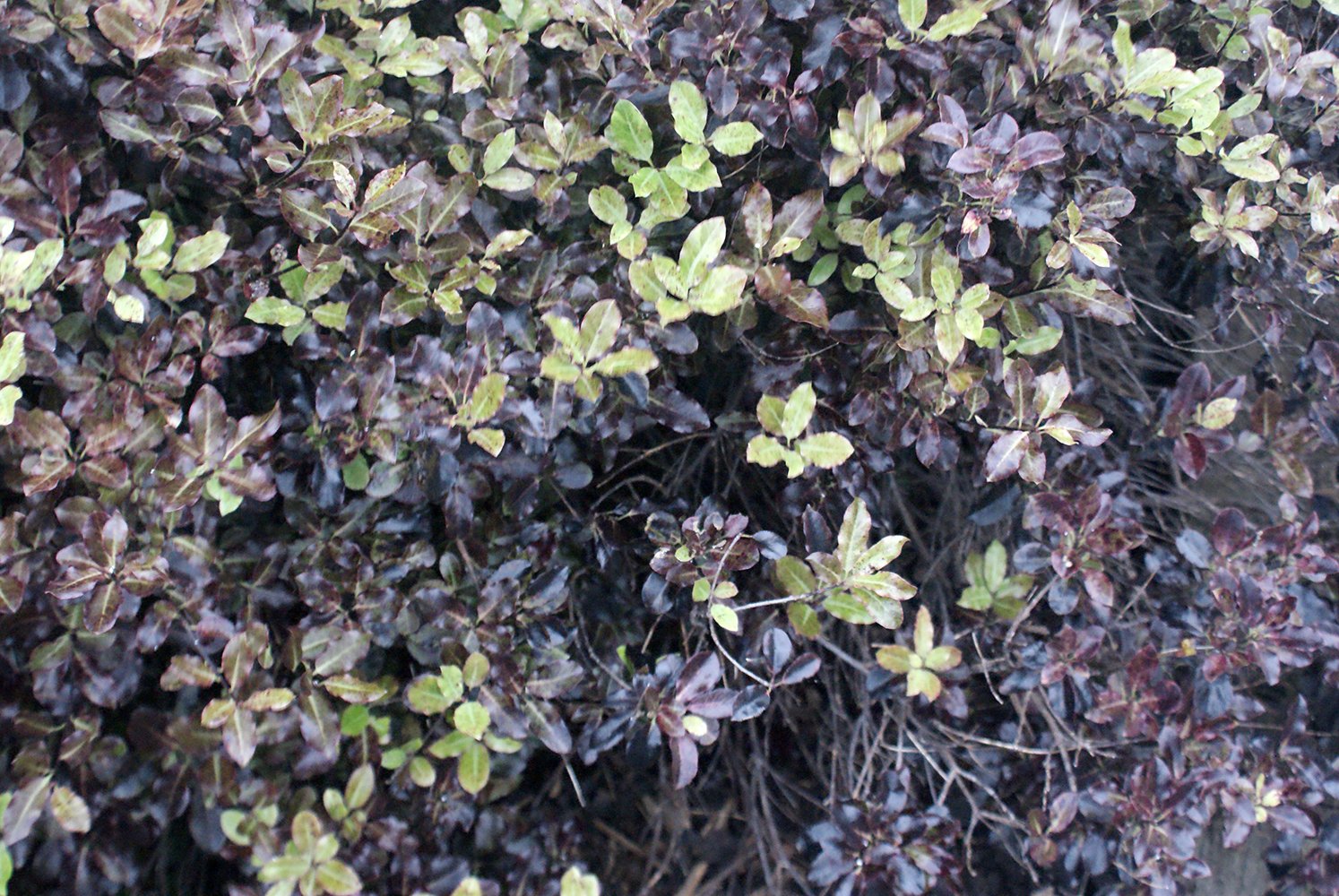 Photograph by Kimberley