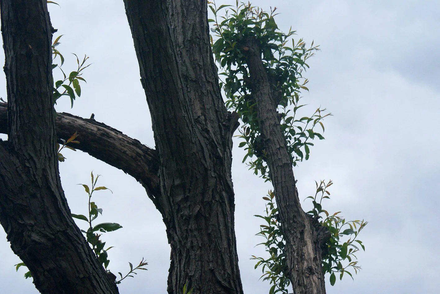 Photograph by Lateefat