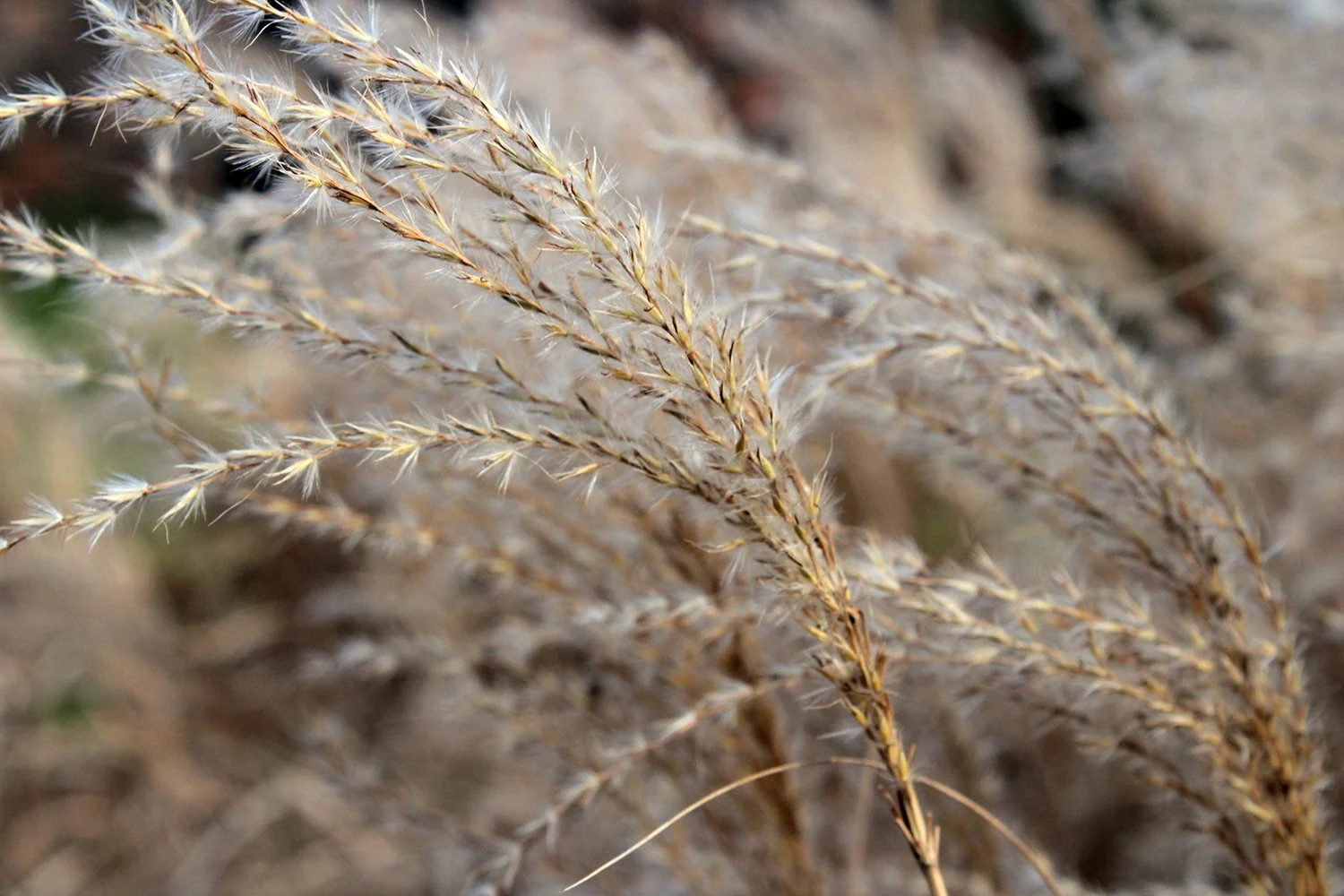 Photograph by Matilda