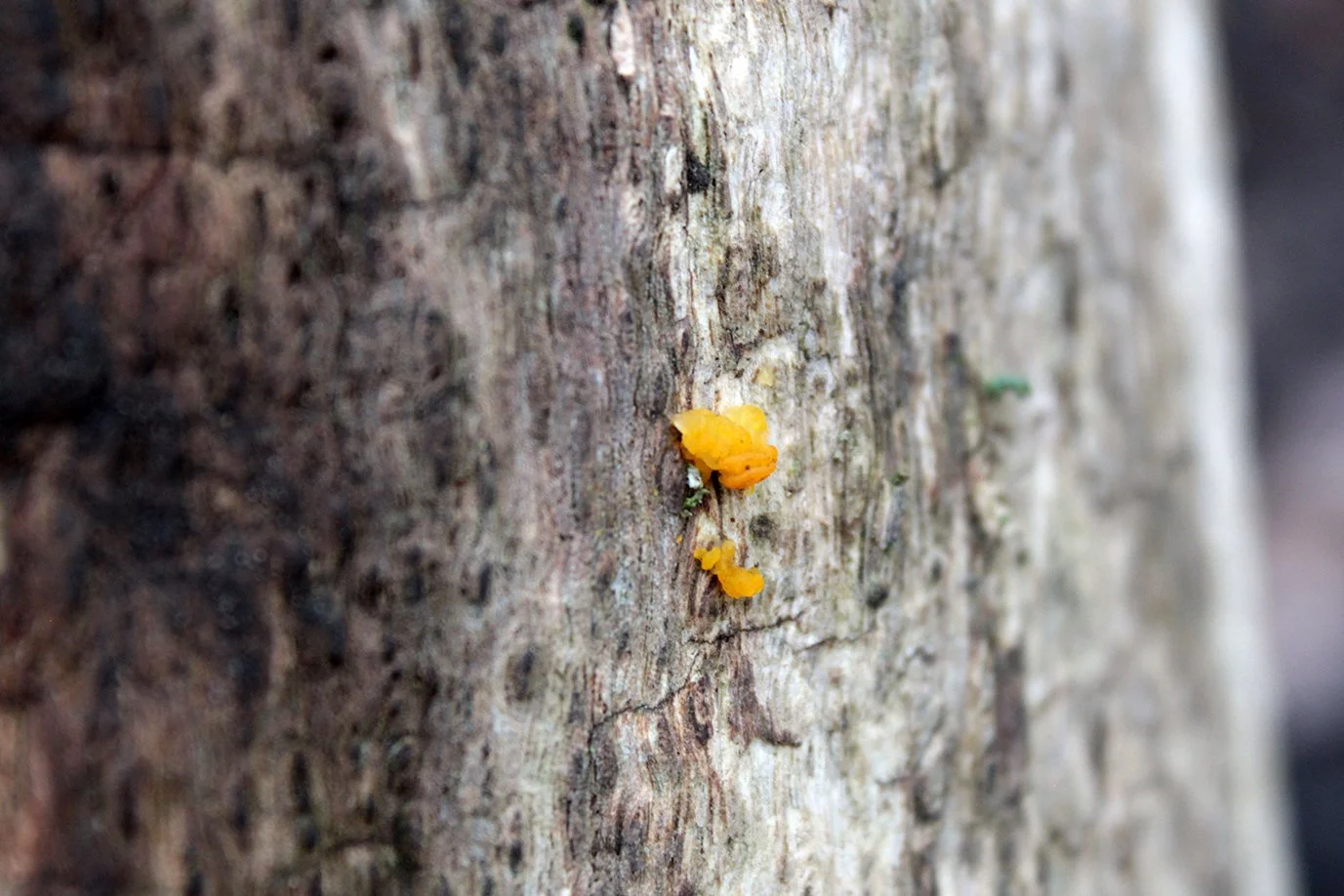 Photograph by Morgan