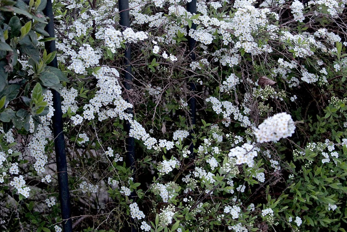 Photograph by Moustapha