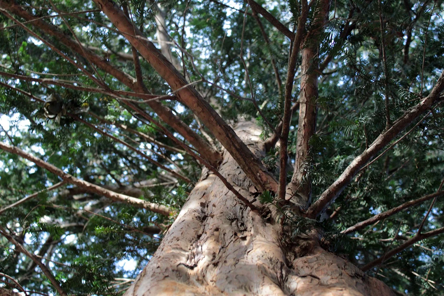 Photograph by Torres