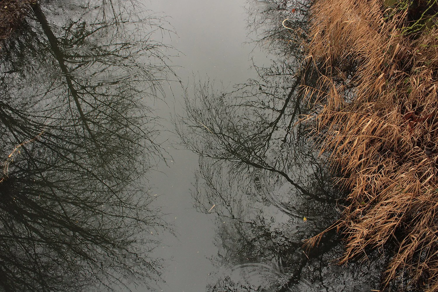 Photograph by Tunmise