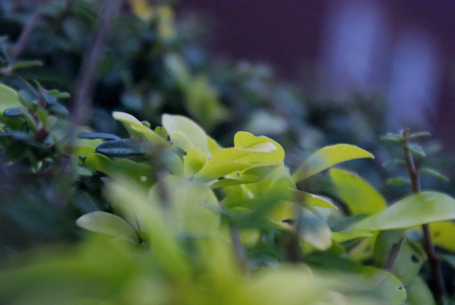 Photograph by Valentina