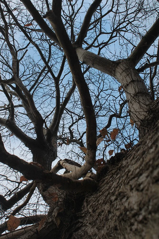 Photograph by Yousif