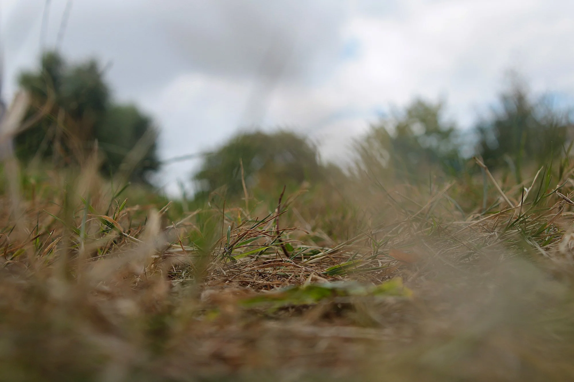 Photo by Harley aged 10