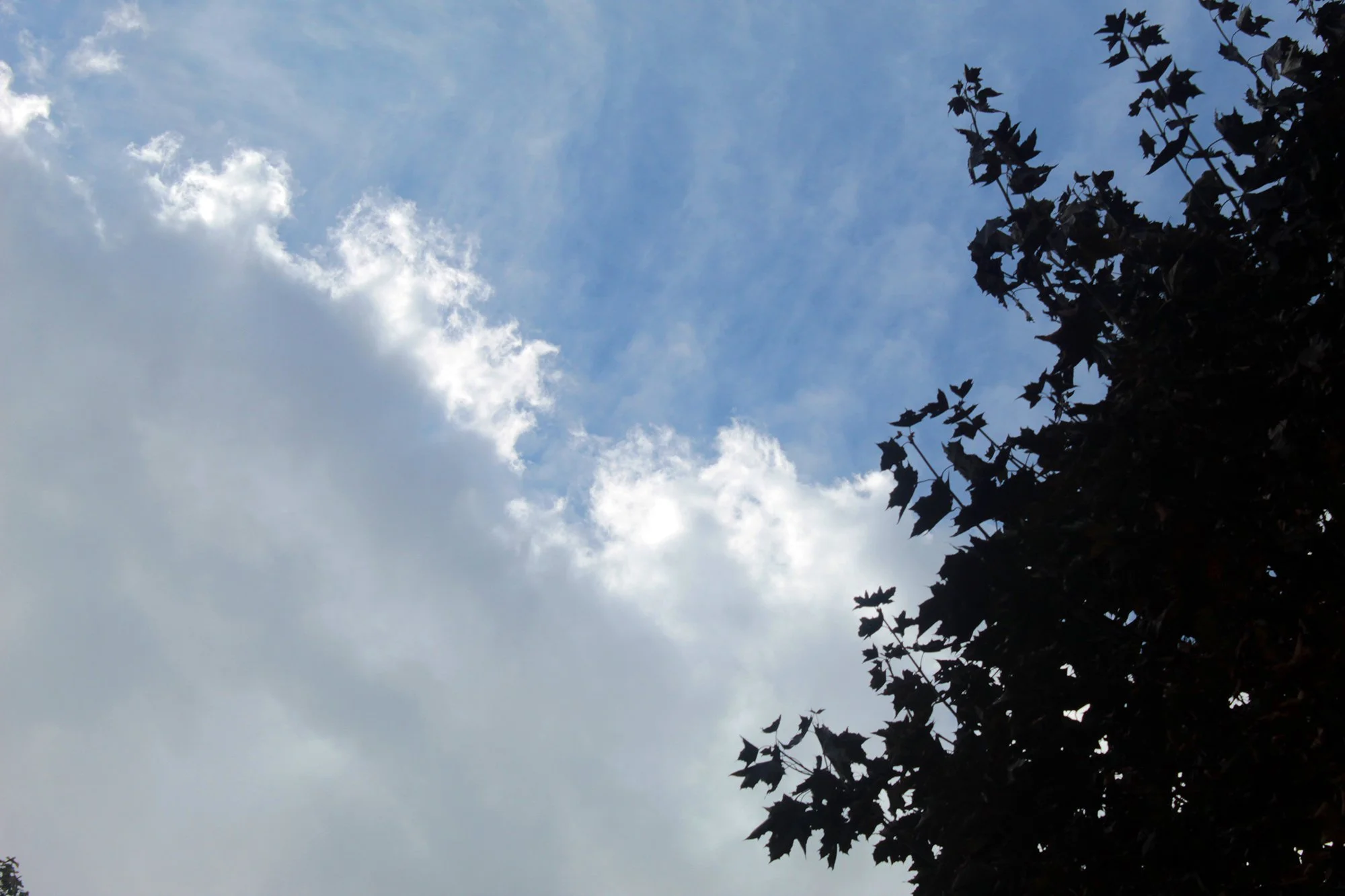 Photo by Troy aged 9