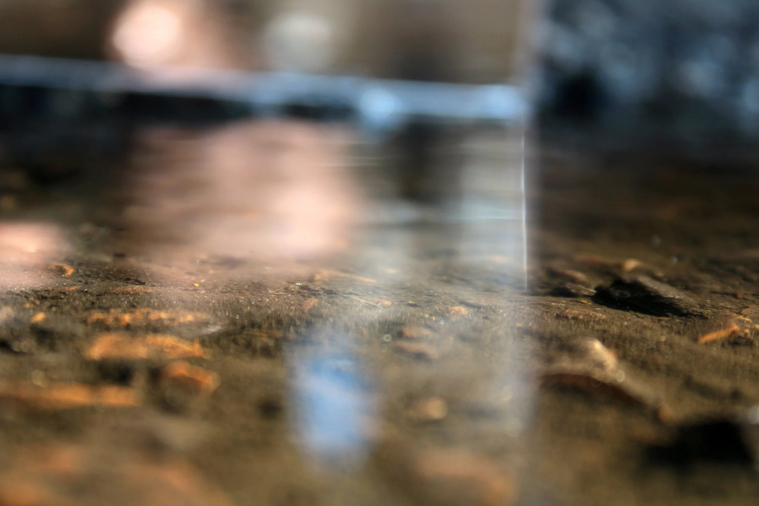 Stare into the distance – Josiah age 14