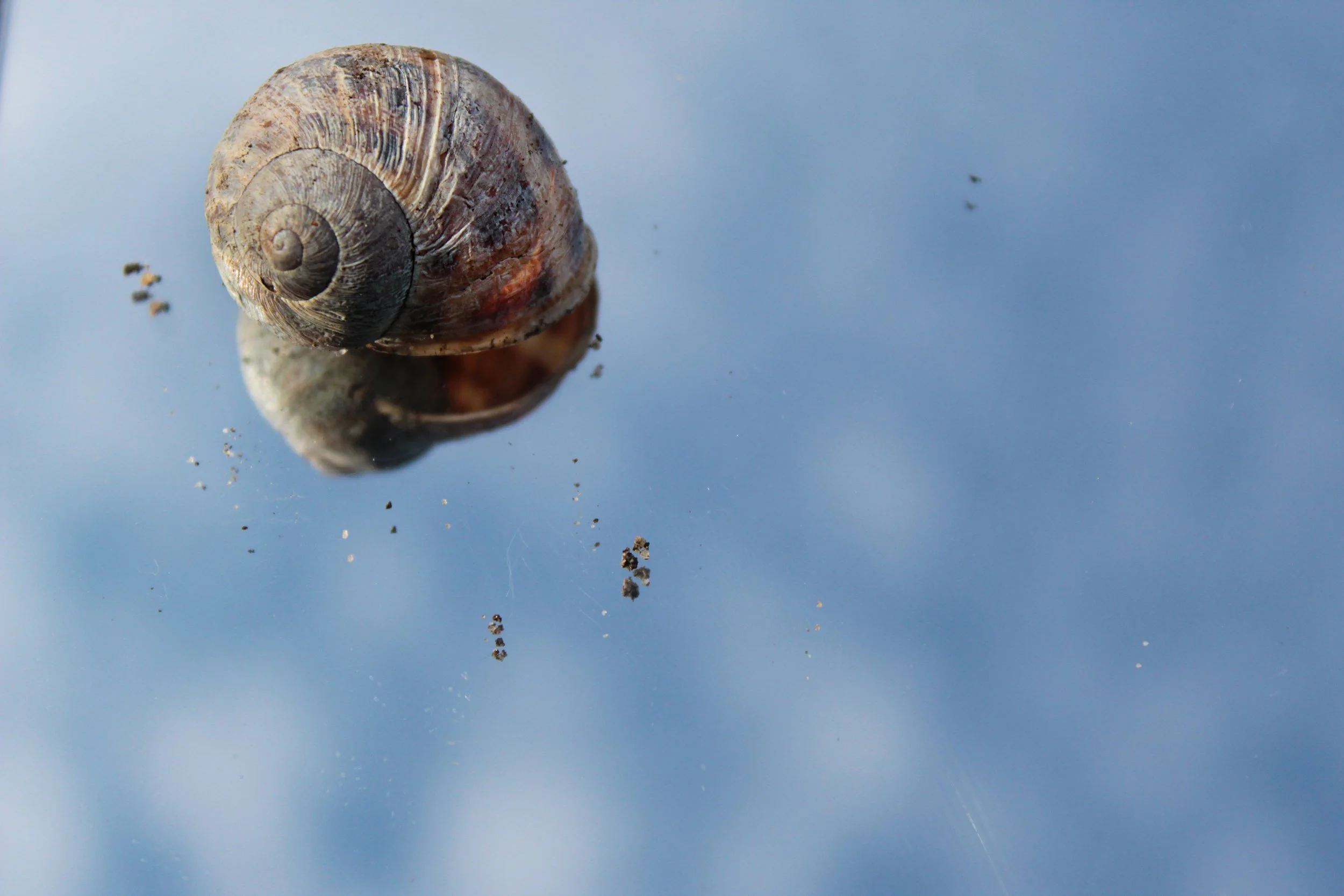 From a home to a house – Kaiden age 12