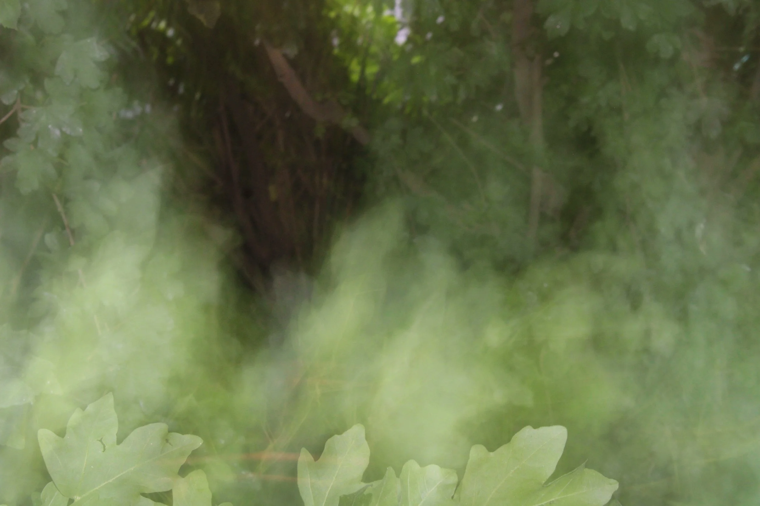  Untitled – Mahfuzoh age 17