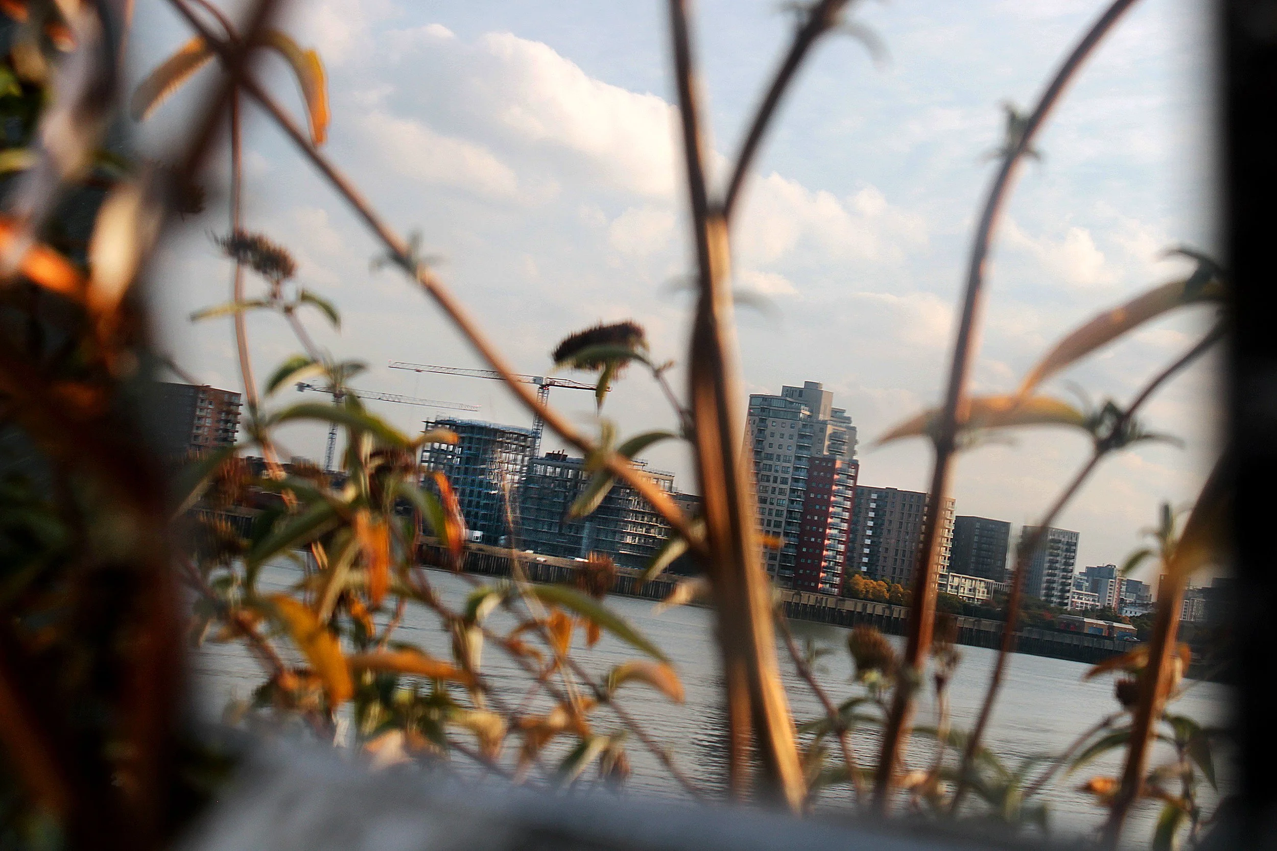 Through the eyes of the forest – Semilore age 15