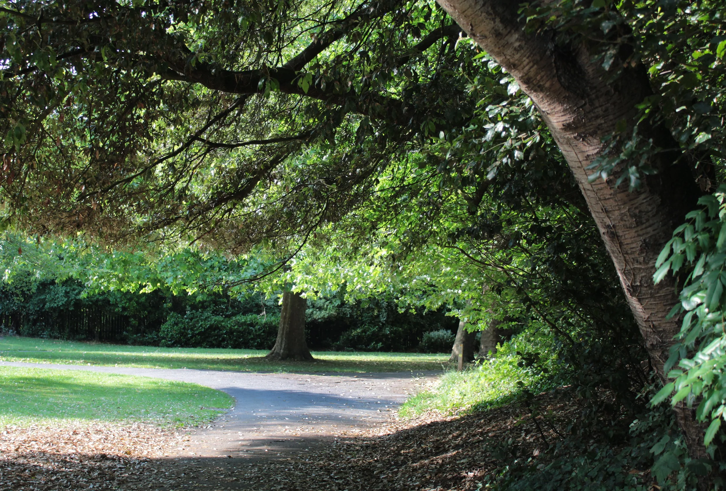 Untitled – Elvis age 13