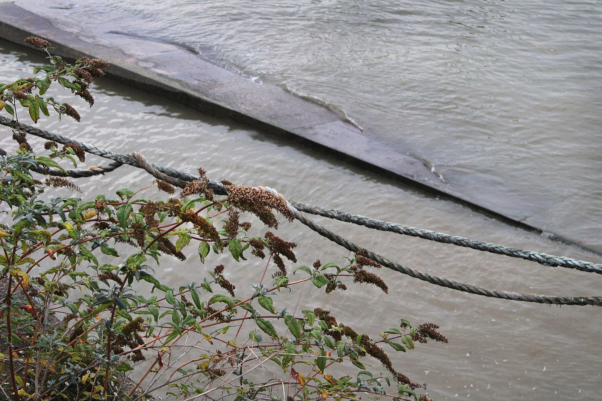 Holding tight – Isabella age 12