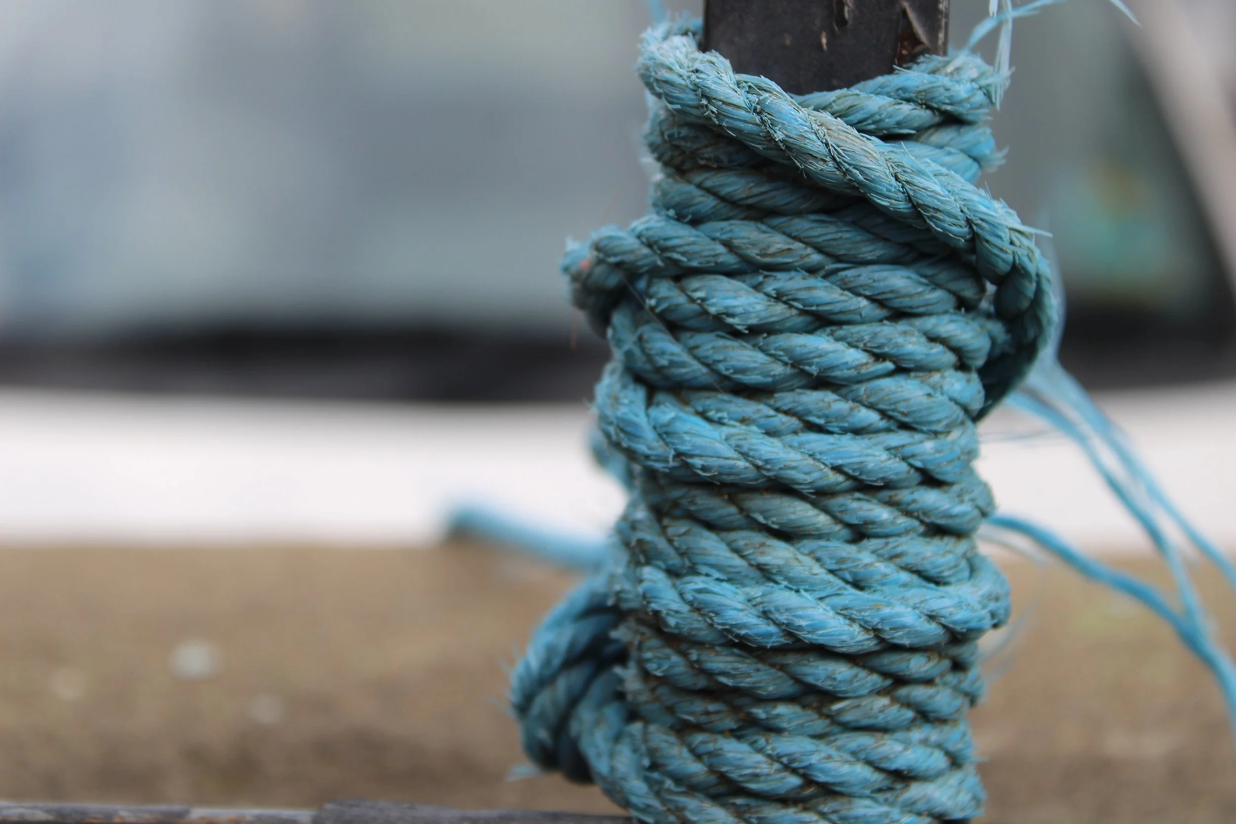 Knot in focus – Zephania age 15