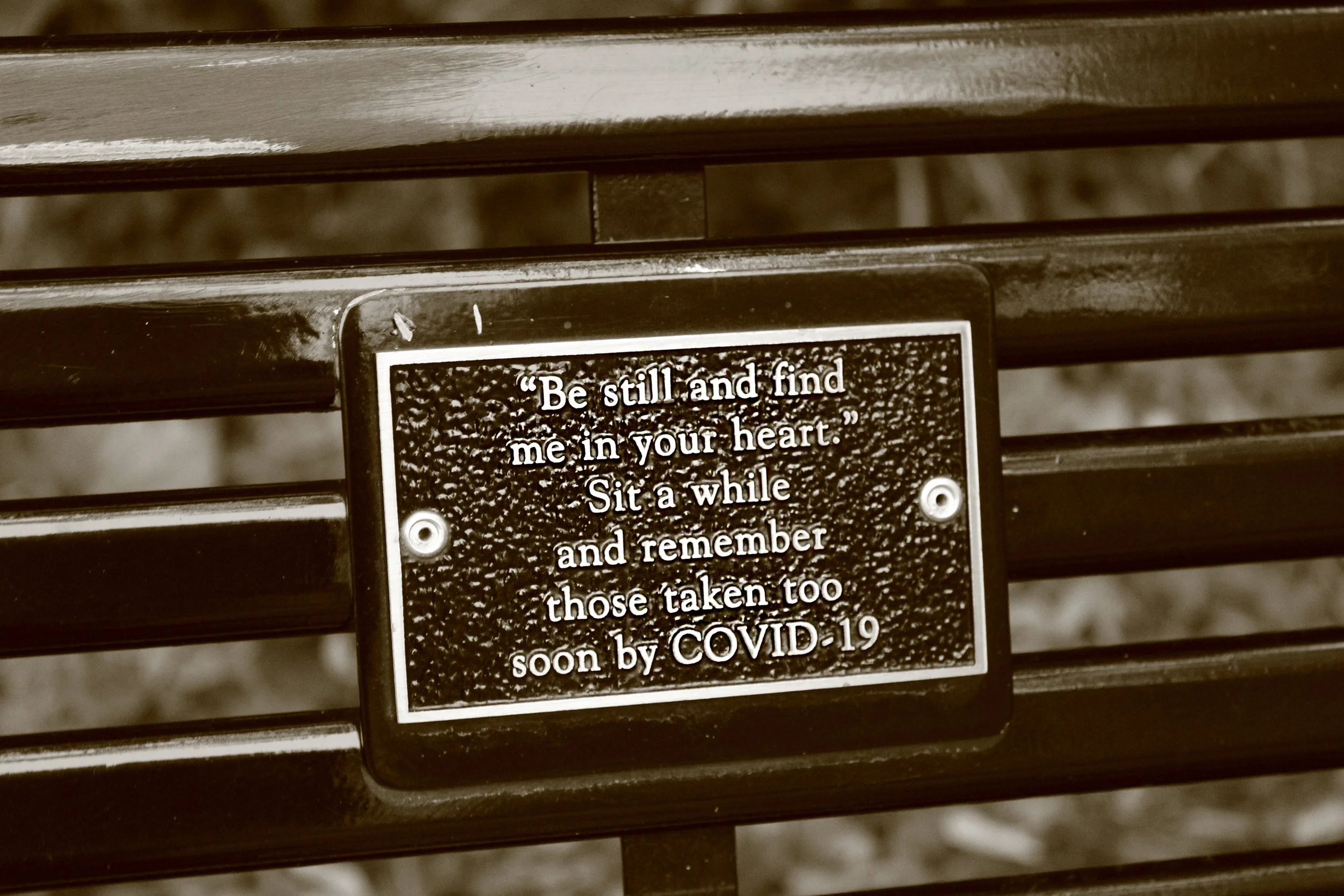 Remembering those taken too soon – Daniel age 15