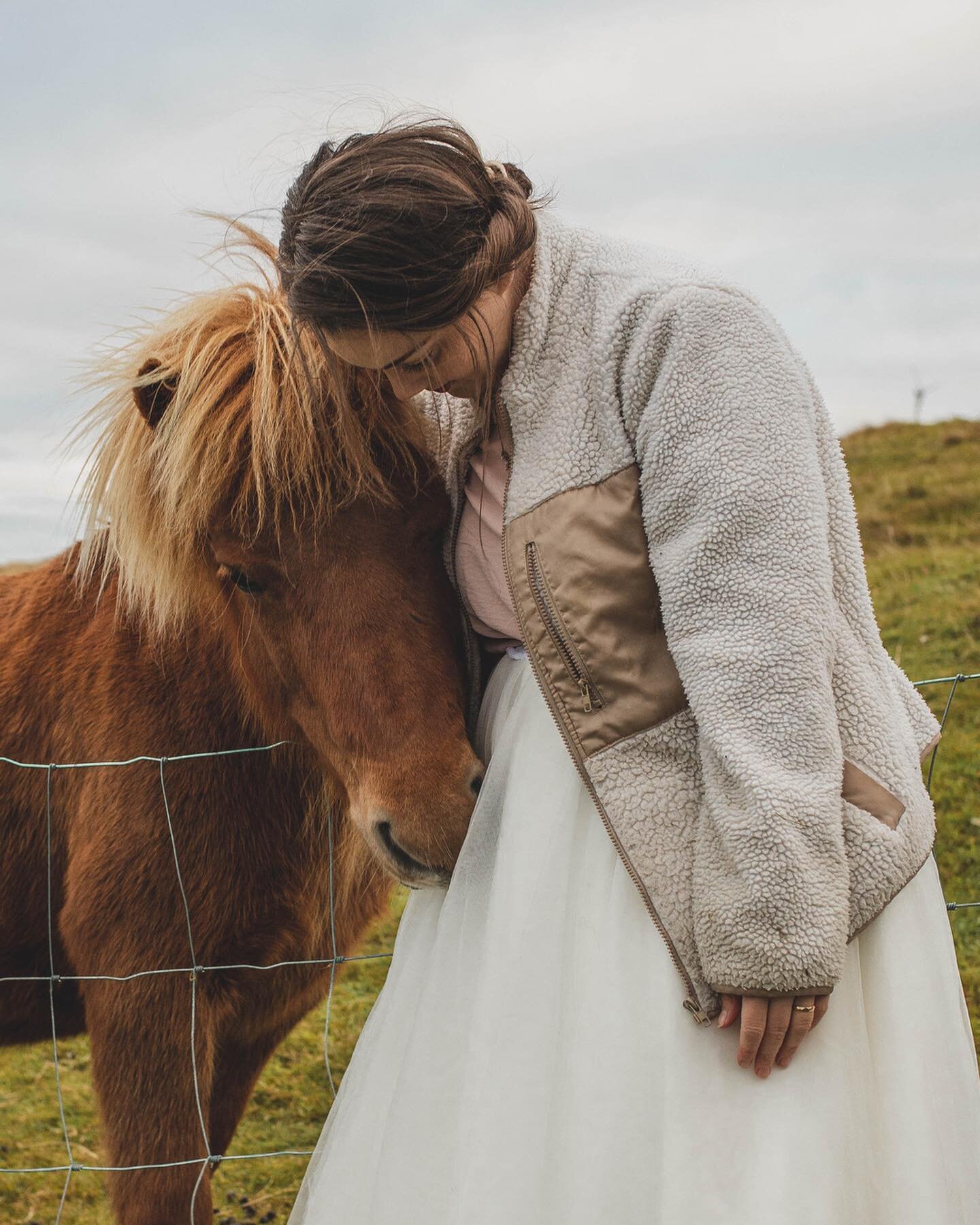Aftan&aacute; eitt hugnaligt kv&oslash;ld vi&eth; n&oslash;krum fittum damun &aacute; @hotel.brandan &iacute; gj&aacute;r ✨Eri aftur &aacute; b&oacute;ndagar&eth;inum og &iacute; dag eru ta&eth; okkara allarbestu F&oslash;roysku Ryssur Iris og Sif, i