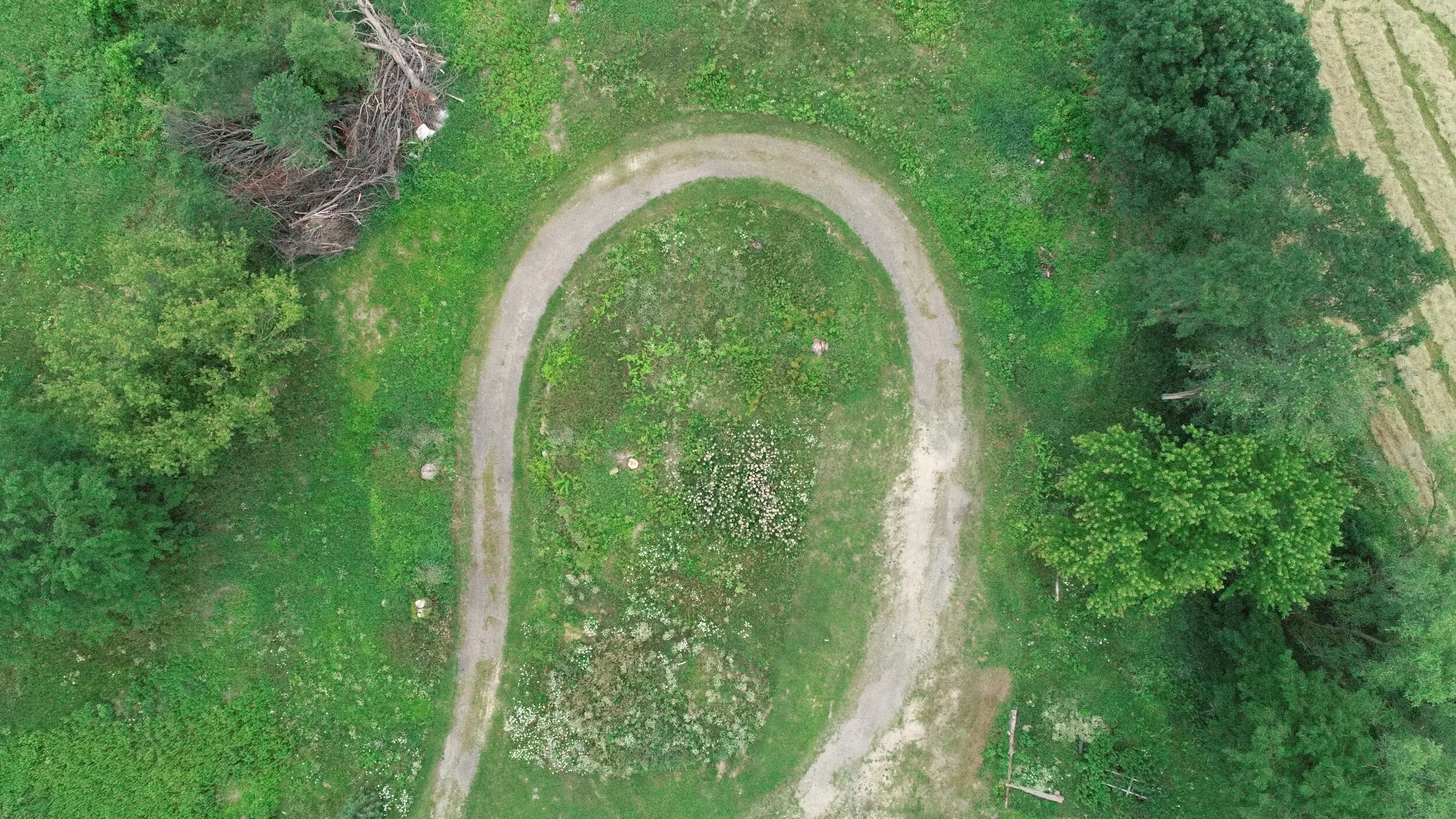 Welsh 7-22-21 (9).JPG