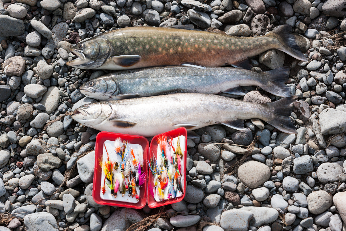 FISHING & HUNTING