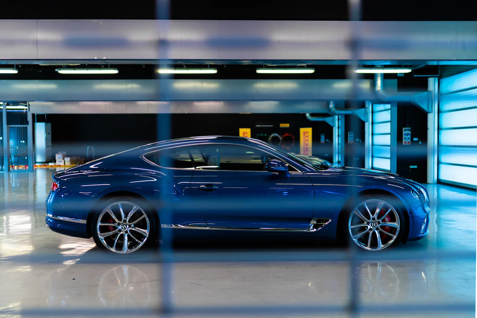 Bentley -1.jpg