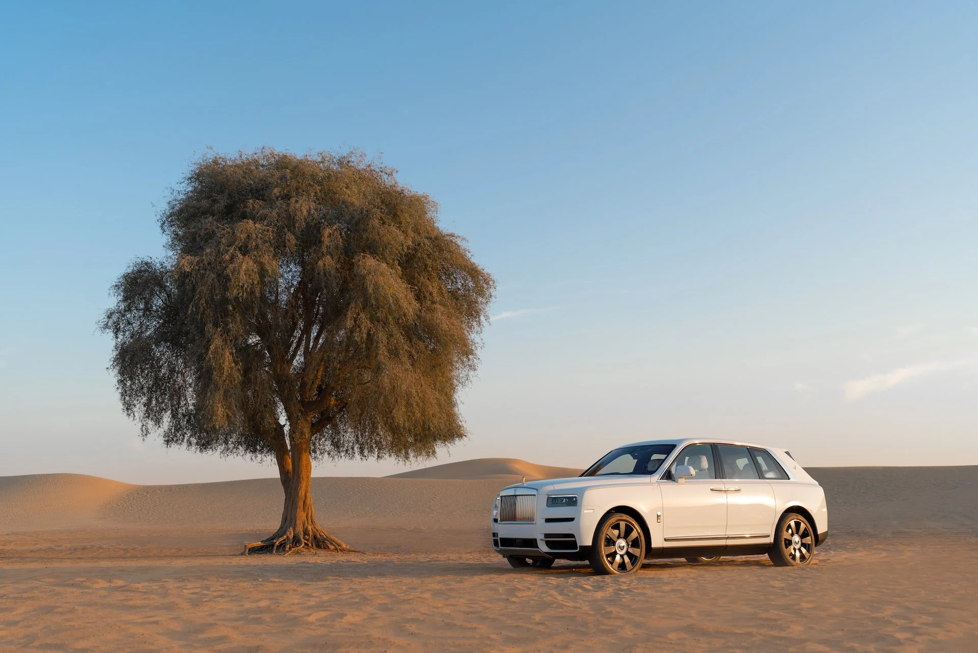 Cullinan 50th-30.JPG