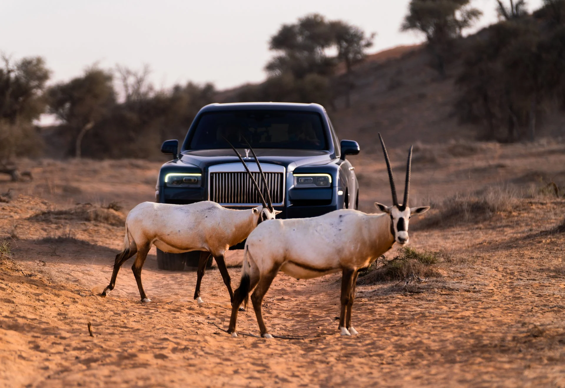 RR Cullinan-20.JPG