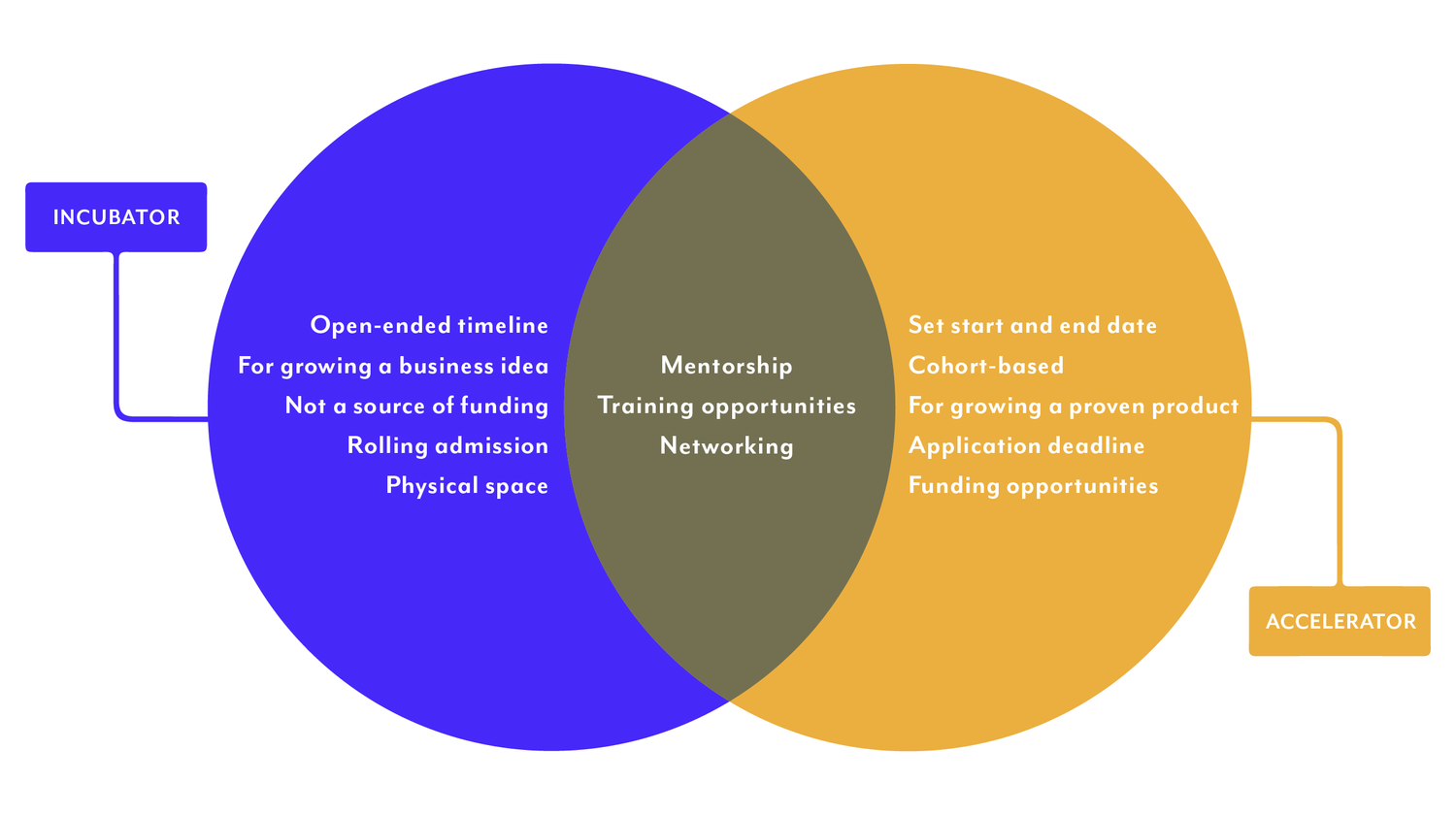 Business Incubator vs Business Accelerator — Because International