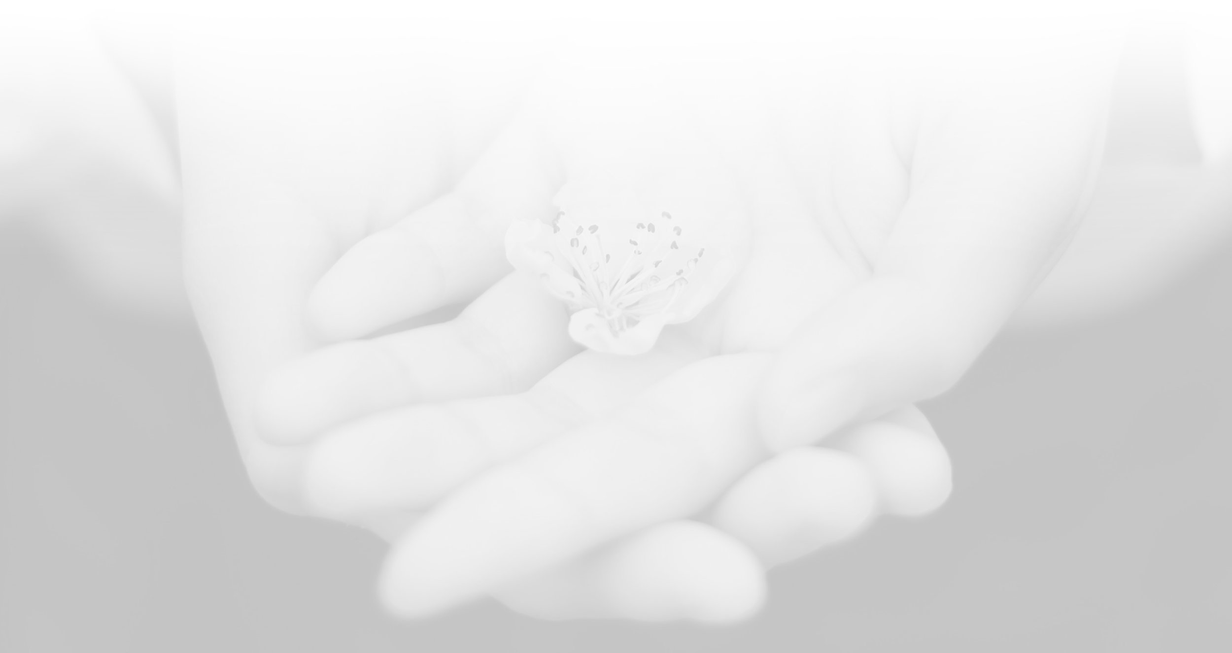 Giving-Funds-Banner-BG.jpg