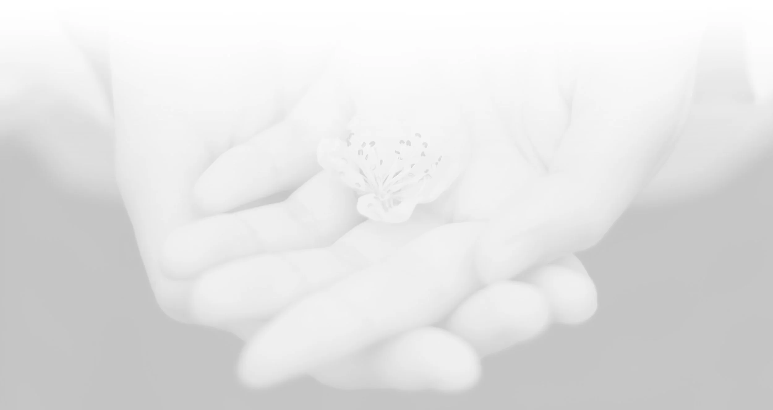 Giving-Funds-Banner-BG.jpg