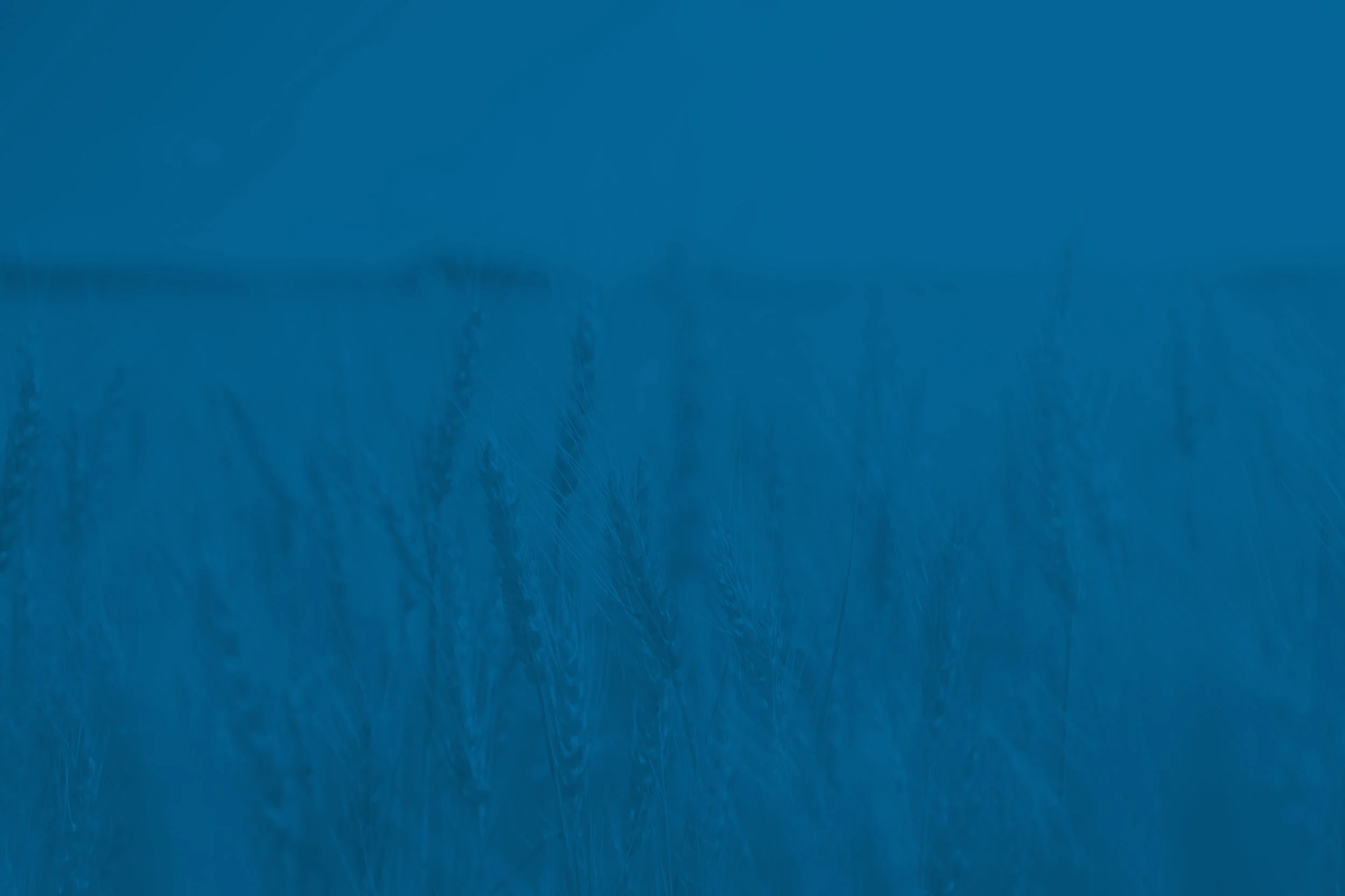 Intro-BG.jpg