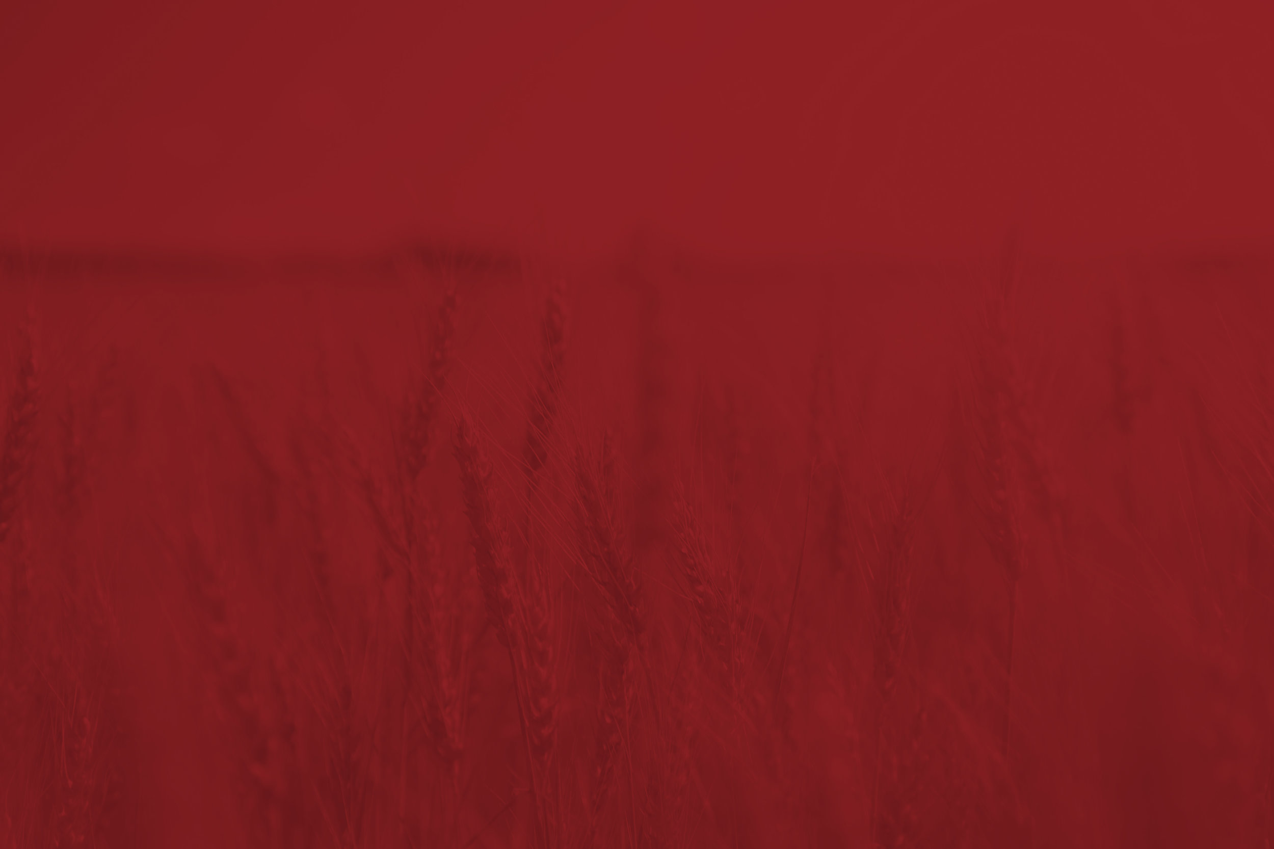 NG-Intro-BG.jpg